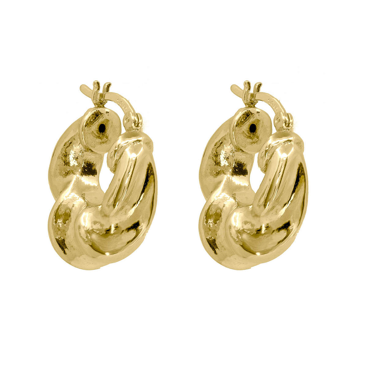 Selena Hoops